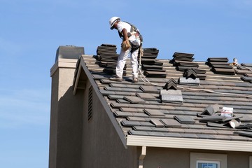 Choosing and Maintaining a Roofing System